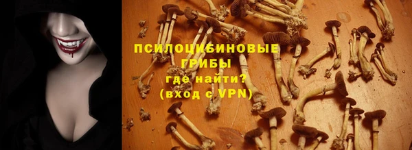 первитин Кукмор