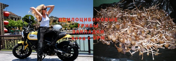 амф Куйбышев