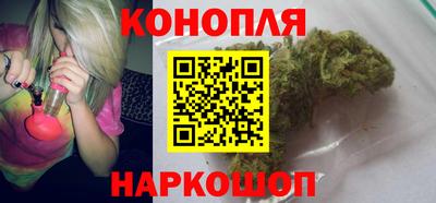 крисы Бийск
