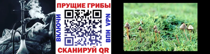 сколько стоит  мега вход  Галлюциногенные грибы мухоморы  Раменское 