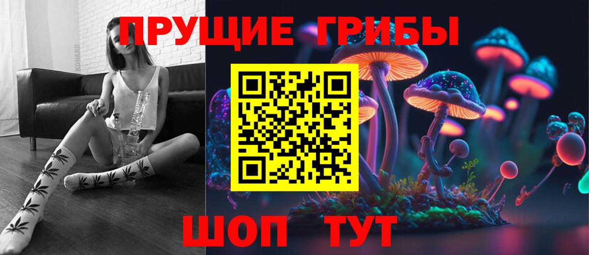 Раменское  Псилоцибиновые грибы Psilocybe  Вход с VPN 